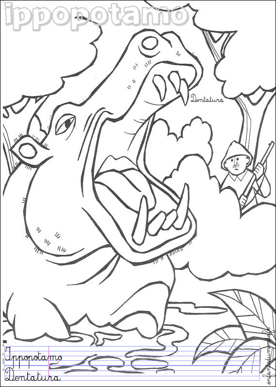 coloriage hippopotame 1